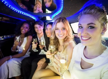 Concerts and Festivals